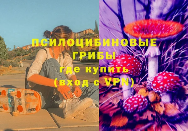 ГАЛЛЮЦИНОГЕННЫЕ ГРИБЫ Верхнеуральск