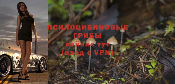 не бодяженный Верхний Тагил