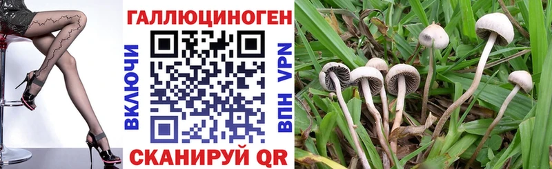 Купить  Гуково  Псилоцибиновые грибы Magic Shrooms 